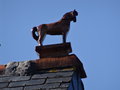 vignette Dtail de toiture dans la ville close cheval en cramique