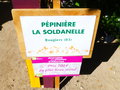 vignette Pépinière La Soldanelle - Prix du plus beau stand