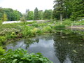 vignette Portmore Gardens - Le plan d'eau