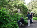 vignette La shbl au Jardin Botanique d'Edimbourg