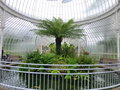 vignette Jardin Botanique de Glasgow - Kibble Palace