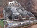 vignette Rocher du lion  Sigiriya