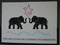 vignette The Millennium Elephant Foundation - Kegalle