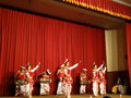 vignette Spectacle de danses kandyennes  Kandy
