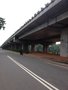 vignette jardinières installées le long de l'autoroute à Negombo