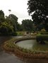 vignette Jardin botanique de Peradeniya - Kandy