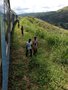 vignette Trajet en Train de Kandy vers Badulla