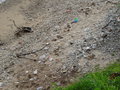 vignette Pollution aux plastiques à Fort Galle