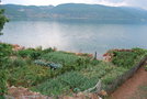 vignette Lin, Lac d'Ohrid, Albanie, potagers