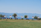 vignette Lac de Skadar (Albanie)