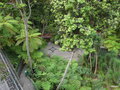 vignette 0013-Jardin tropical de Monte Palace  ,