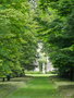 vignette Stra , Villa Pisani ,grands arbres