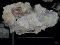 vignette 0035-Madère  minéraux,quartz