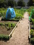 vignette Jardins potagers du parc Beaulieu - Jardin partag
