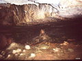 vignette Rockgardens' Caves,grottes du Devon