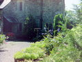 vignette Buckland Abbey