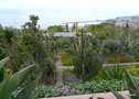 vignette 0001a-jardin botanique de Funchal