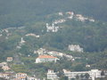 vignette 0001-Monte  , la basilique vue depuis Funchal