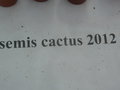 vignette Semis cactus