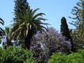 vignette Jardin botanique tropical ( Ultramar)