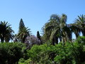 vignette Jardin botanique tropical ( Ultramar)