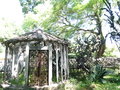 vignette Jardin botanique tropical ( Ultramar)