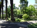 vignette Jardin botanique tropical ( Ultramar)