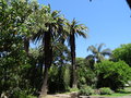 vignette Jardin botanique tropical ( Ultramar)