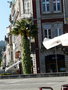 vignette Braga , Place de la Rpublique , palmier vtu...