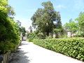 vignette Jardin botanique de Coimbra