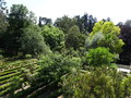 vignette Jardin botanique de Coimbra