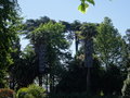 vignette Le jardin du Palais de Cristal