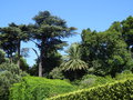 vignette Le jardin du Palais de Cristal