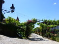 vignette Pergola de roses et vignes