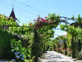 vignette Pergola de roses et vignes