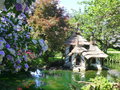 vignette La Maison des Canards