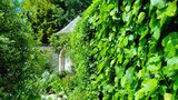 vignette Walled garden