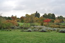vignette Arboretum de La Valle-aux-Loups, Chatenay Malabry, Hauts de Seine, Rgion Parisienne