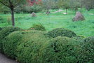 vignette Arboretum de La Valle-aux-Loups, Chatenay Malabry, Hauts de Seine, Rgion Parisienne