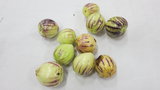 vignette Solanum muricatum - Pepino ou Poire-melon ou Morelle de Wallis