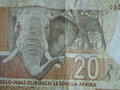 vignette Billet de banque sud africain