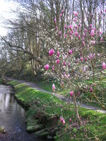 vignette Jardin Public du Stang Alar