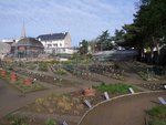 vignette Nantes, Jardin des Plantes en mars