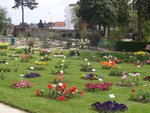 vignette Nantes, Jardin des Plantes en mars