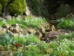 vignette Nantes, Jardin des Plantes en mars