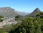 vignette Table Mountain & Lion's Head