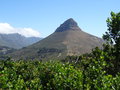 vignette Cape Town - Montagne du Signal