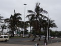 vignette Durban