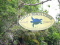 vignette Turtle Beach Lodge Tortuguero