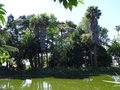 vignette Le jardin du Palais de Cristal